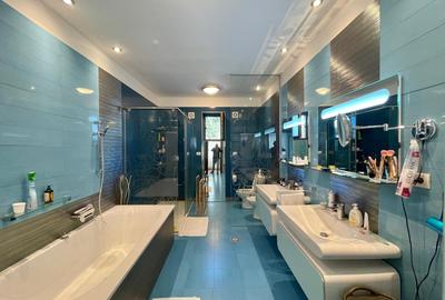 Casa - Damaroaia, Heerastrau, Expozitiei - 15