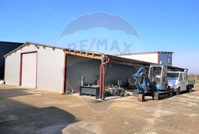 Hala Industriala, Parcul Industrial, Bors, De Inchiriat - 13