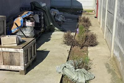 Casă cu Teren 455 Mp în 1 Decembrie - 7