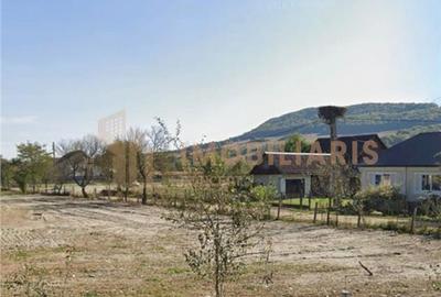 Teren intravilan in Razoare - 6