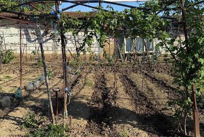 Casă cu Teren 1200 Mp în Central - 7