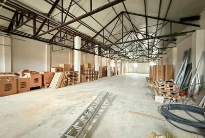 Spațiu industrial, de 500 mp, în Livada de Bihor - 3