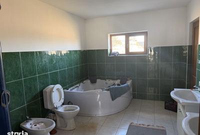 Casă cu 3 camere cu Teren 10000 Mp în Mitocu Dragomirnei - 13