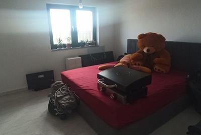Casă cu 3 camere cu Teren 1100 Mp în Vladimirescu - 6