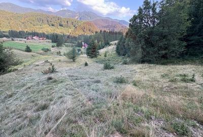 Teren agricol intravilan de 2050 mp, în Poiana Brașov - 1