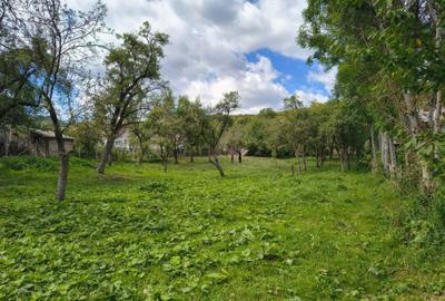 Teren de 2016 mp, în Costești - 8