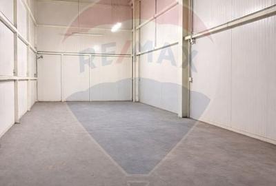 Spațiu industrial, de 480 mp, în Poiana - 11