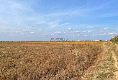 TEREN Dezv Logistica 2500mp posib extindere Centura CHITILA Rudeni - 6