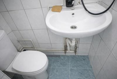 Garsoniera Calea Buziasului - 5