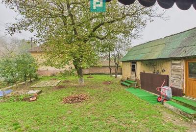 Casă 2 camere la DN7 în Odvoș - 4