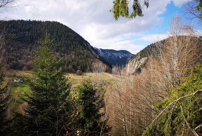 Spațiu comercial, în Peștera - 7