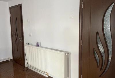 Casă cu 4 camere cu Teren 4000 Mp în Musculești - 2