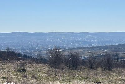 Spațiu comercial, în Iris