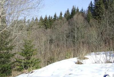 Teren situat in Predeal - 3