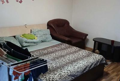 Apartament cu 2 camere decomandat în Bozovici - 8