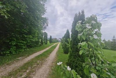 FILM! Oaza paradisiaca cu lac, vedere catre Bucegi, Glajerie/ Rasnov, pretabil C - 41