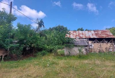 Teren de 1700 mp, în Vlădești - 3