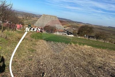 Teren agricol extravilan de 5600 mp, în Bogdand - 2