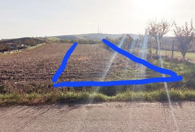 Spațiu comercial, în Roșiori - 3