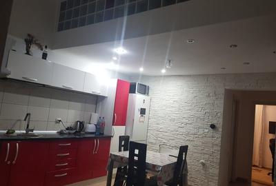 Apartament de vanzarecu 2 plus mansarda - 10