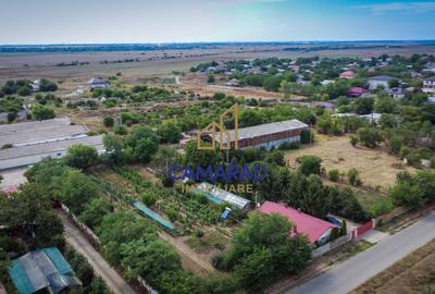 Casa - hala si teren de 9000 mp - ideal investitie - Fundeni/Calarasi - 2