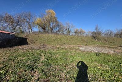 Vand casa Mintia Hunedoara - 10