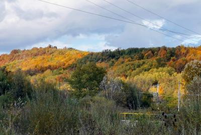 Teren în Roșu - 11