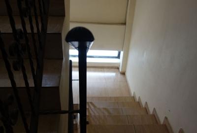 Liberty Mall-Nasaud P+2E+TERASA - 7