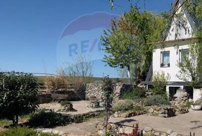 Casă cu 4 camere cu Teren 959 Mp în Lăzăreni - 2