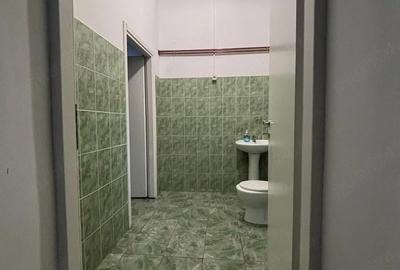 Casă cu Teren 1160 Mp în Corbii Mari - 5