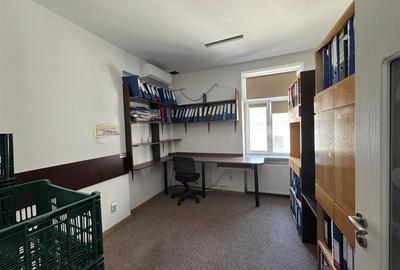 Inchiriere imobil D+P+1+M | 450 mp | Cismigiu - Cazzavillan | - 19