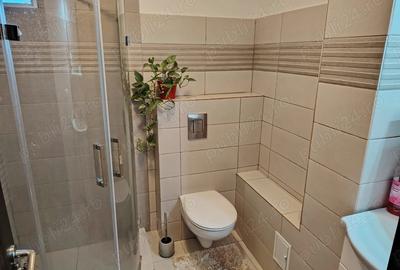 Precista Veche - NOU renovat, mobilat - utilat, LUX - 6