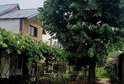 Casă cu 4 camere în Nisipoasa - 10