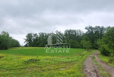 Teren agricol extravilan de 8600 mp, în Cuied - 3