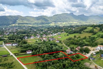 Teren cu pârâu, ideal pentru proiect turistic/casa vacanță lângă Castelul Bran - 8