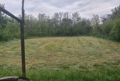 Casa de vanzare Valea Stanciului Casa de vanzare Valea Stanciului - 4