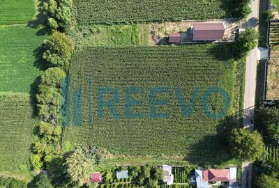 Teren intravilan de vanzare, Sat Bogdan?ti, Com. Traian - 11