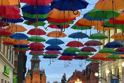 Apartament deosebit in inima Timisoarei - 2