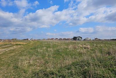 Mogosoaia, teren intravilan 323 mp cu PUZ aprobat, P+2+M - 3