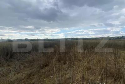 Teren de 2500 mp, în Central