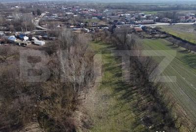 Casă cu 2 camere cu Teren 3800 Mp în Costești - 3