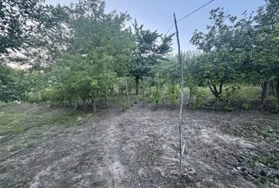 Casă cu 3 camere în Calopăr