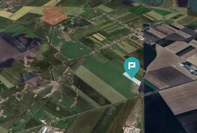 Teren extravilan de 22500 mp in Varia?ul Mare - 1
