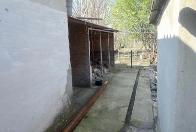 Casă cu 5 camere cu Teren 275 Mp în Pisc - 3