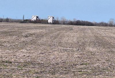 Crevedia - teren 10.000 mp. intravilan Crevedia - teren 10.000 mp. intravilan - 3