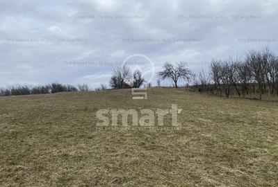 Teren intravilan cu CF 5400mp front 17 Savadisla jud Cluj - 10