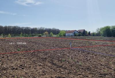 Snagov, Vladiceasca, Intravilan, zona de vile noi, canalizare, electricitate - 13