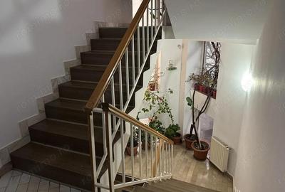 Casă cu 3 camere cu Teren 1031 Mp în Matei Voievod - 10