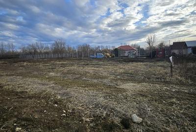 Spațiu comercial, în Podgoria - 4