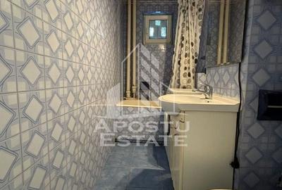 Apartament cu 2 camere, balcon, zona Iosefin - 8